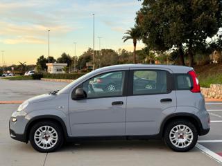 FIAT Panda usata, con Alzacristalli elettrici