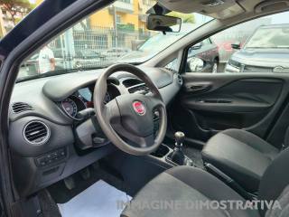 FIAT Punto usata, con Climatizzatore