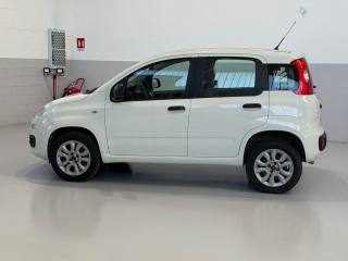 FIAT Panda usata, con ESP
