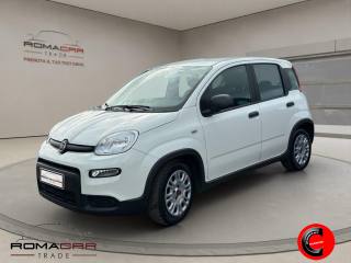 FIAT Panda 1.0 City life Hybrid VISIBILI IN SEDE!