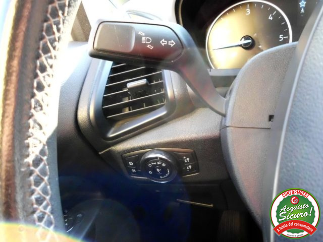 FORD EcoSport usata, con Controllo vocale