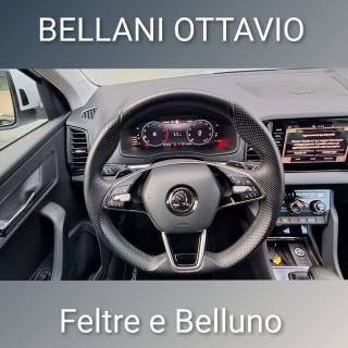 SKODA Karoq usata, con Cruise Control