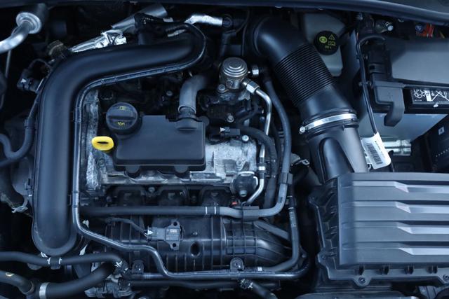 VOLKSWAGEN Polo usata, con Spoiler