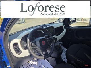 FIAT Panda Cross usata, con Antifurto