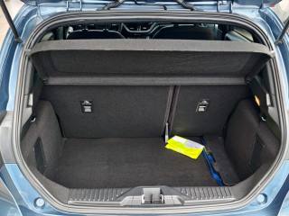 FORD Fiesta usata, con Cronologia tagliandi