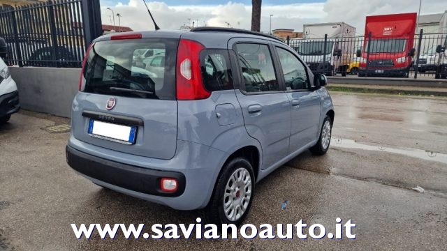 FIAT Panda usata, con Airbag Passeggero