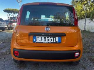 FIAT Panda usata, con Alzacristalli elettrici