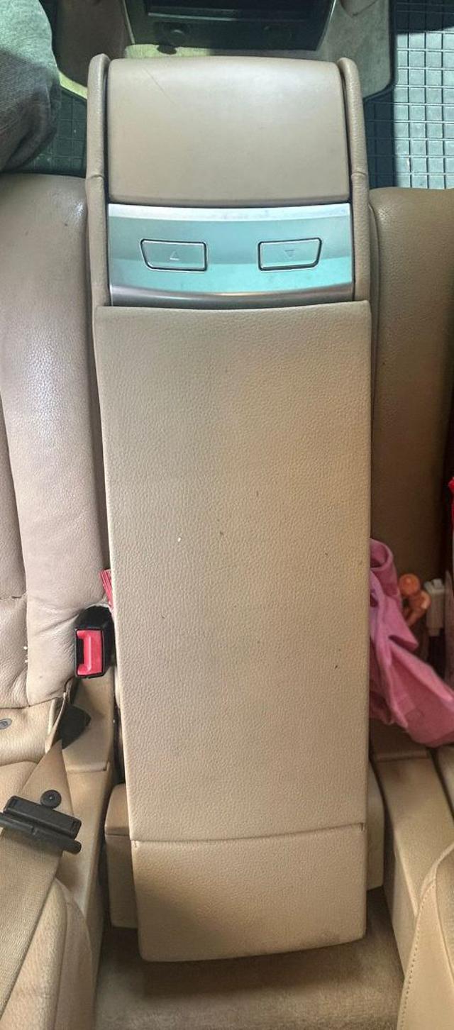 BMW 530 usata, con Bracciolo