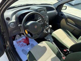 FIAT Panda usata 16