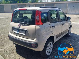 FIAT Panda usata, con Controllo trazione