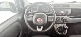 FIAT Panda usata 55