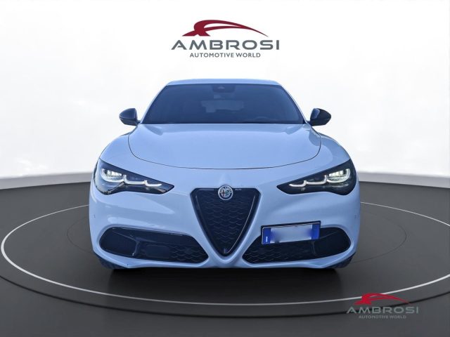 ALFA ROMEO Stelvio usata 6