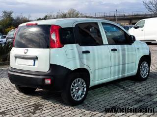 FIAT Panda usata, con ESP