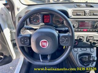 FIAT Panda usata, con Fendinebbia