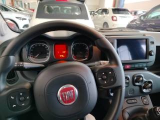 FIAT Panda Cross usata, con Airbag testa