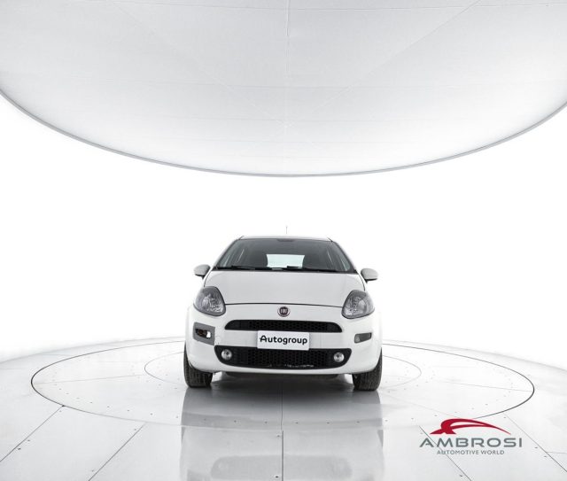 FIAT Punto usata 4