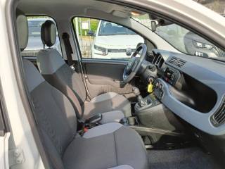 FIAT Panda usata, con Vivavoce