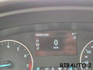 FORD EcoSport usata, con Boardcomputer