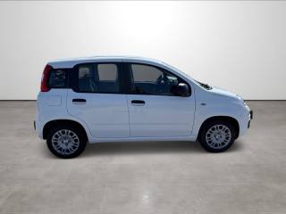 FIAT Pandina usata, con Controllo trazione