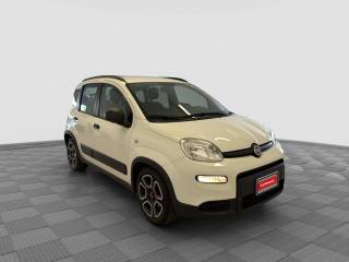 FIAT Panda usata 6