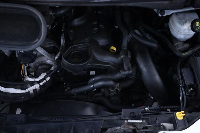 FORD Transit usata 40