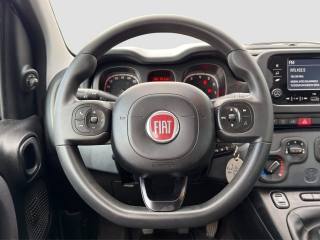 FIAT Panda usata 12