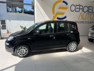 FIAT Panda usata, con Cronologia tagliandi