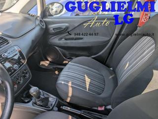 FIAT Punto usata, con Fendinebbia
