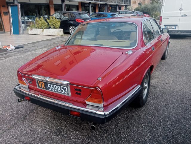 JAGUAR XJ6 usata, con Cronologia tagliandi