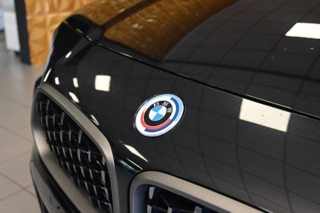 BMW X2 usata 98