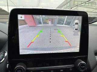 FORD EcoSport usata, con Sensore di pioggia