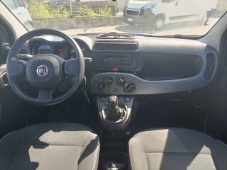 FIAT Panda usata, con Airbag testa