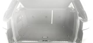 LAND ROVER Range Rover Evoque usata, con Fari Xenon