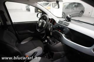 FIAT Panda usata, con ESP