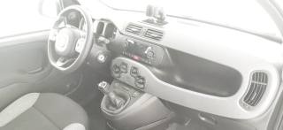 FIAT Panda usata 49