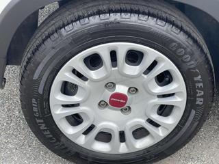 FIAT Panda usata 22