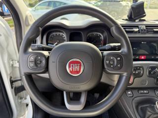 FIAT Panda usata, con Chiusura centralizzata
