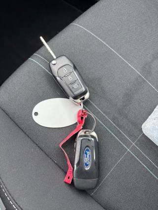 FORD Fiesta usata, con Luce d