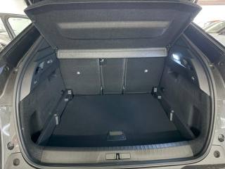 PEUGEOT 3008 usata, con Cruise Control