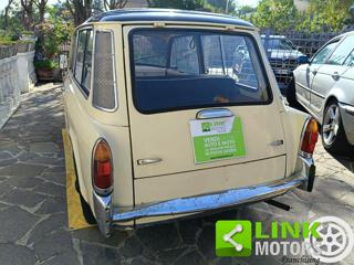AUTOBIANCHI Bianchina usata 8