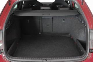 SKODA Octavia usata, con Fendinebbia