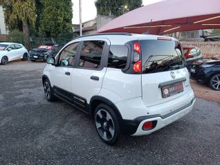 FIAT Panda usata, con Antifurto