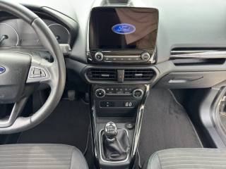FORD EcoSport usata, con Interni in pelle