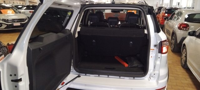 FORD EcoSport usata, con Cruise Control