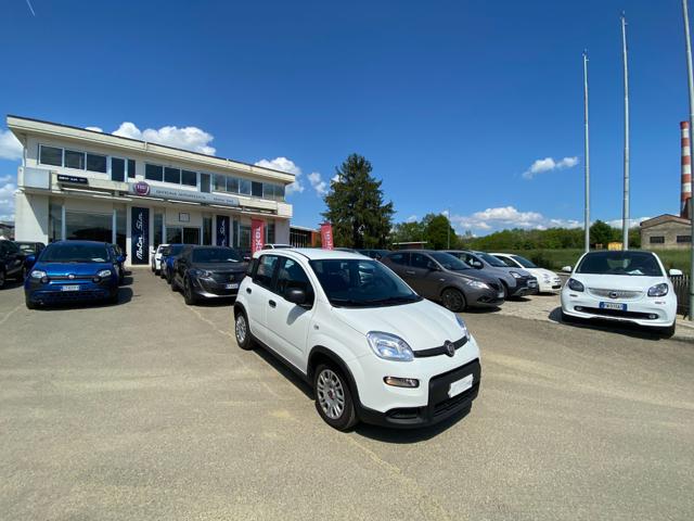 FIAT Panda usata 17