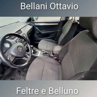 SKODA Octavia usata, con Controllo trazione