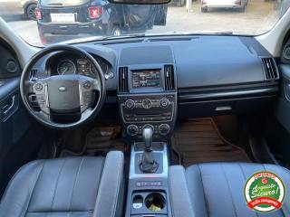 LAND ROVER Freelander usata, con Fendinebbia