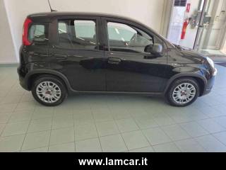 FIAT Panda usata, con Immobilizzatore elettronico