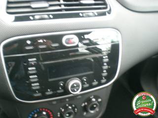 FIAT Punto usata 15