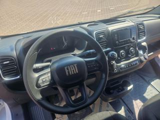 FIAT Ducato usata, con Immobilizzatore elettronico